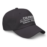 Coleman Veterans Memorial Classic Hat
