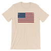 Red White and Blue Flag T-shirt
